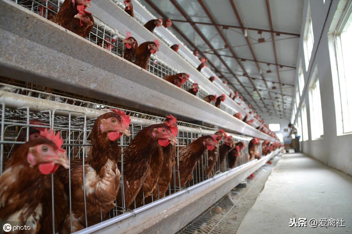 各类运输车辆 第134页