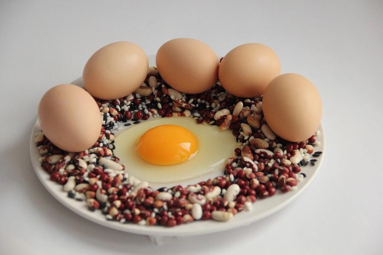 禽病网今日蛋价行情概览与指南