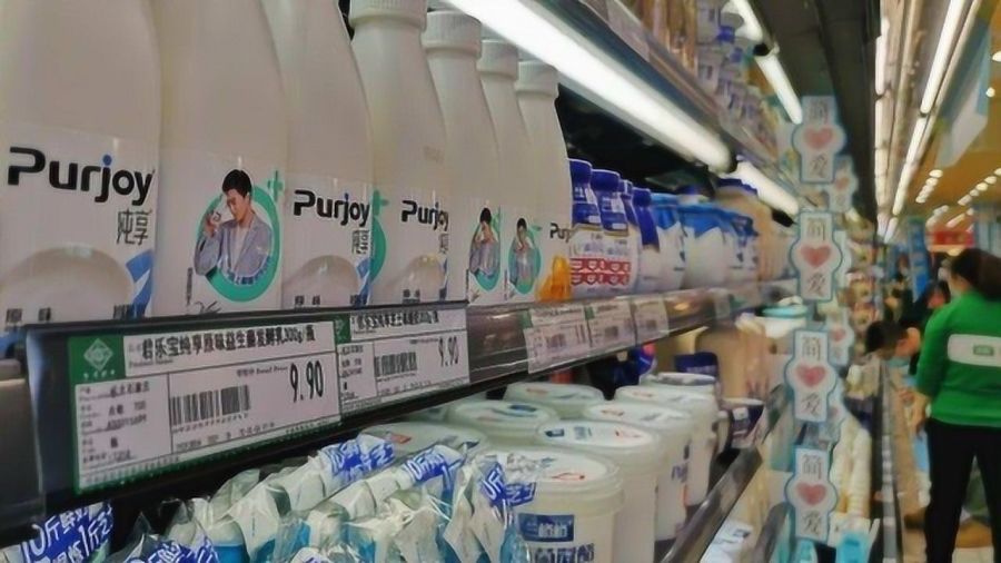 上市乳业,背景、历程与地位探究