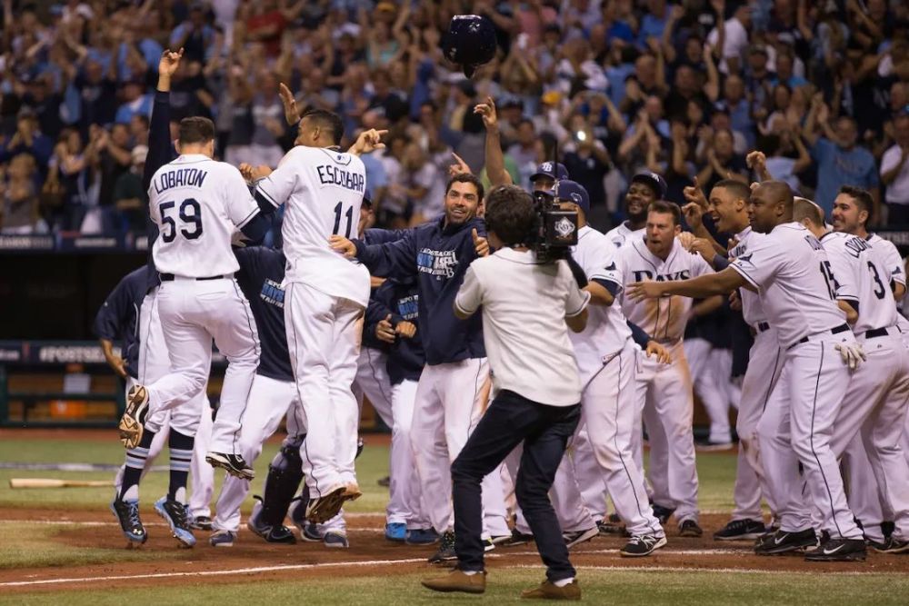 芥末比赛,科技盛宴中的味蕾狂欢与高科技新体验