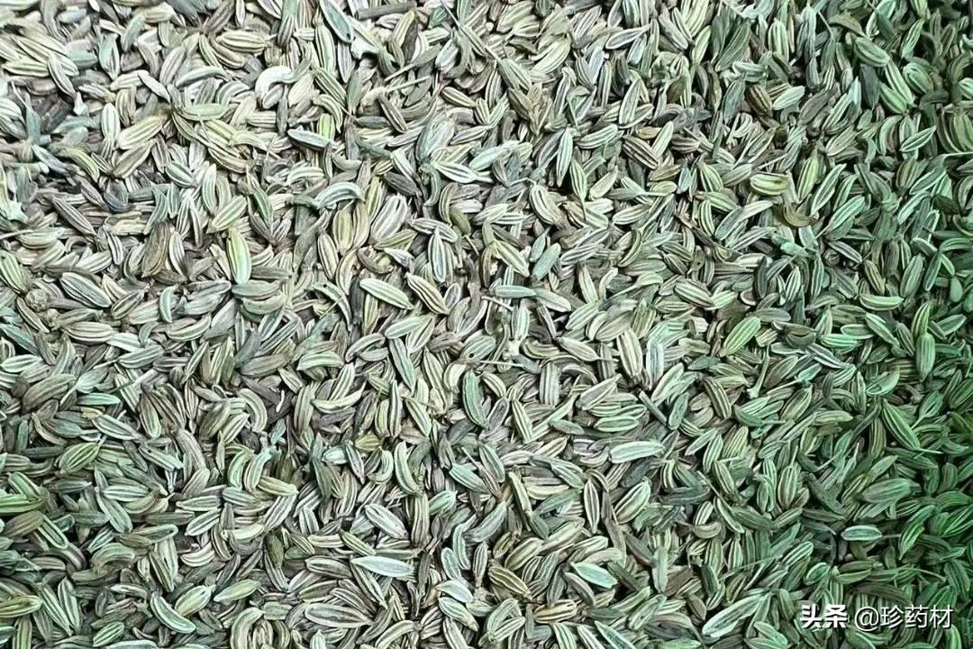 小茴香行情揭秘,巷弄深处的独特香气