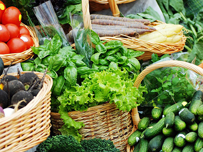 葱价最新信息，踏上自然旅程，探寻内心宁静之旅