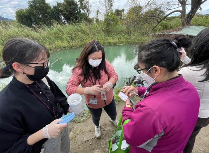 大溪最新动态速递