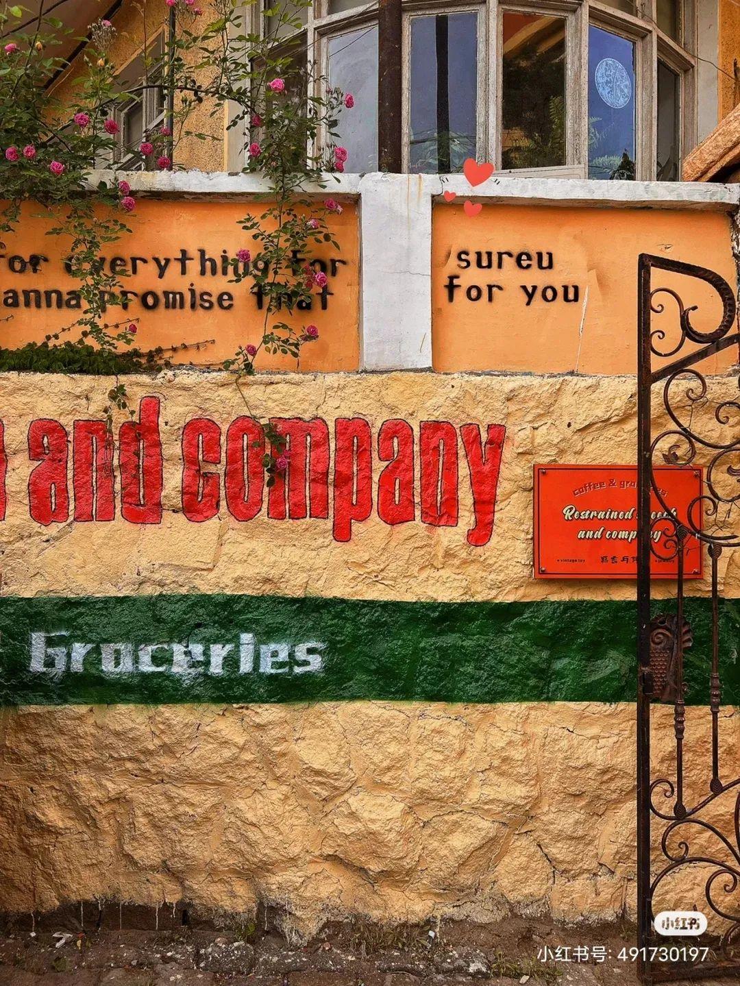 橙色密码演员表深度解析，角色与演员匹配度探究