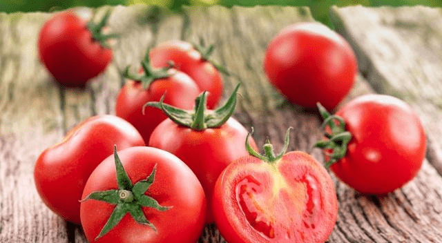 番茄最新作品揭晓，学习之光引领成长之路