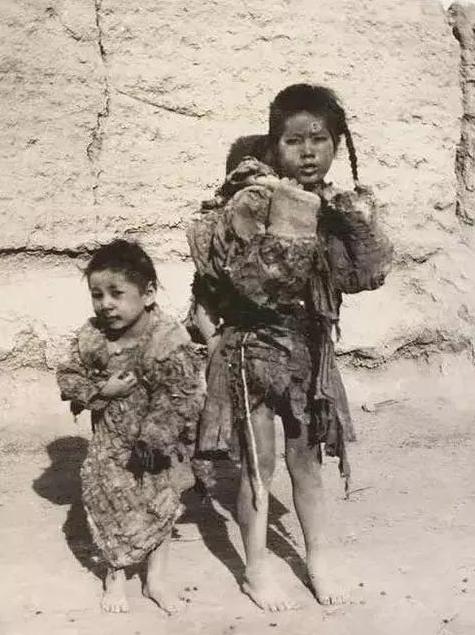 最新抗日电视剧深度分析与个人观点分享