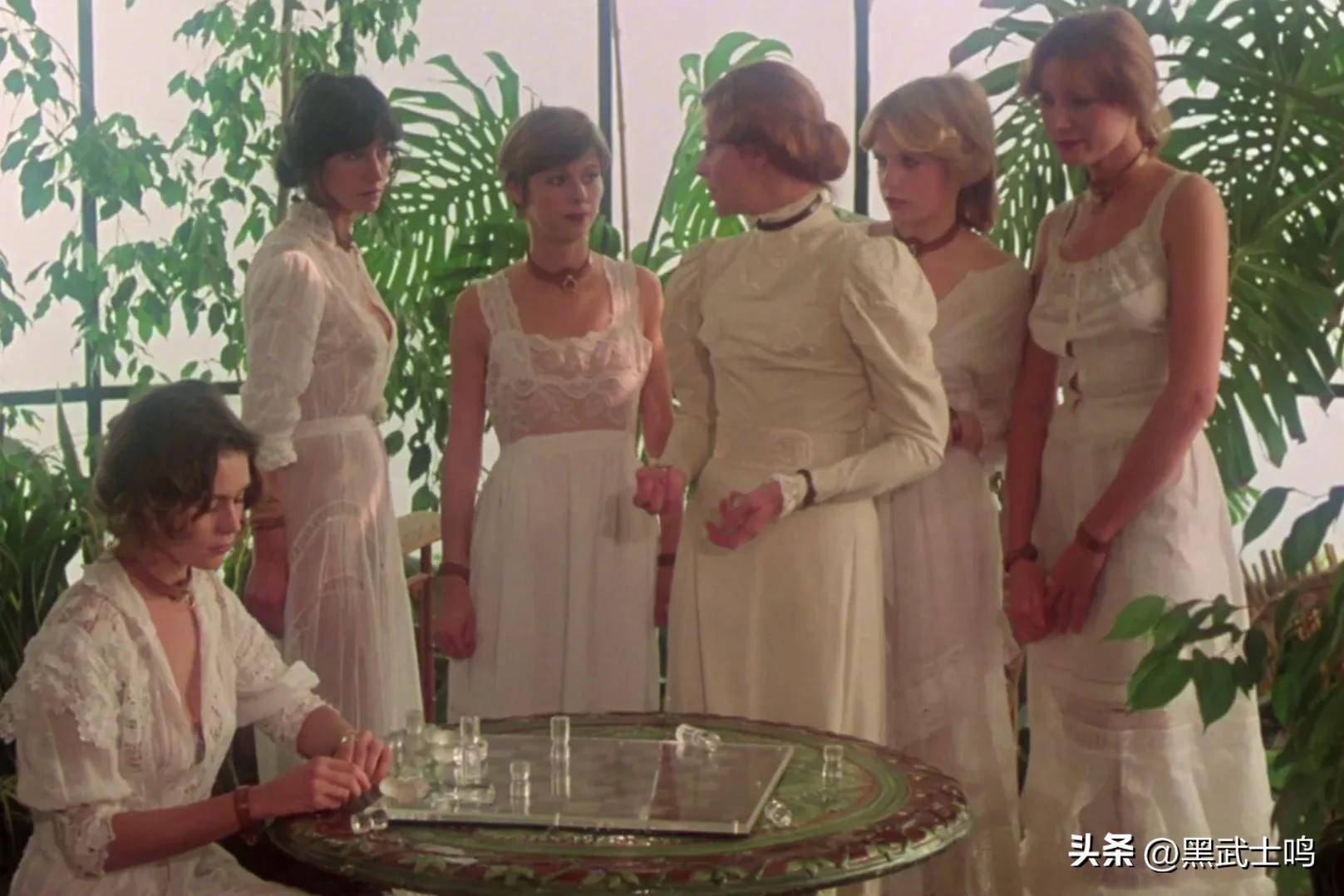 午夜剧场成人电影，自然美景的心灵之旅探索