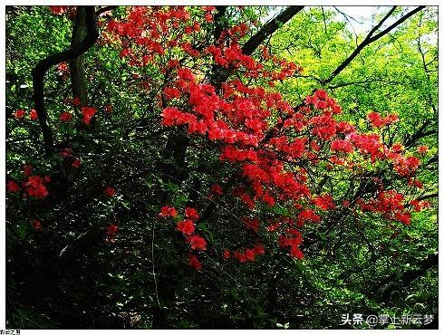 云梦靓坊女装新款时尚魅力升级亮相！