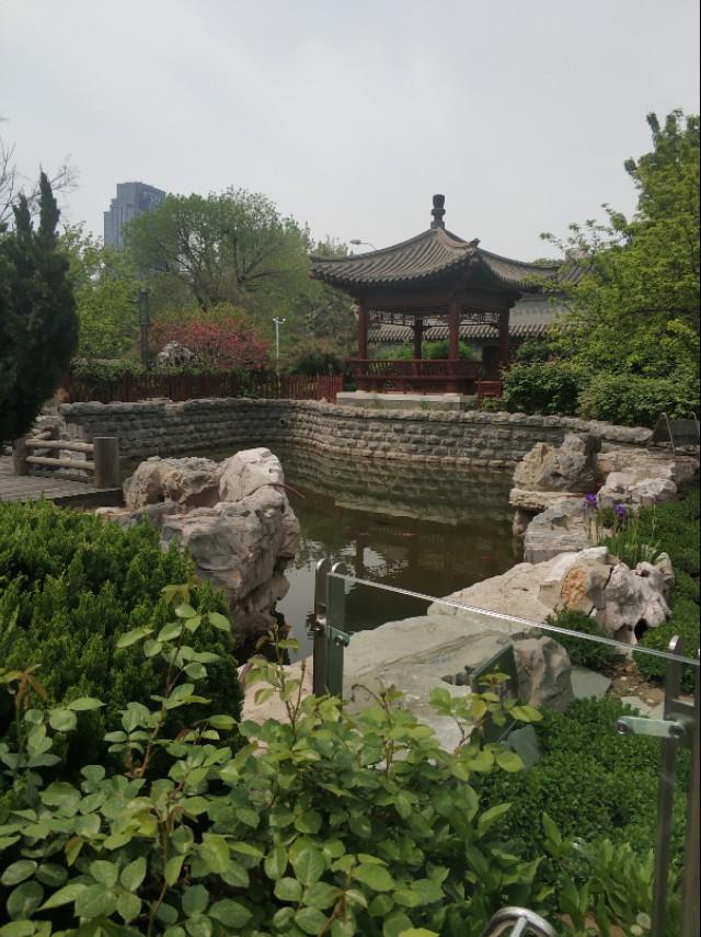 探索小巷深处的亲子乐园，最新遛娃好去处