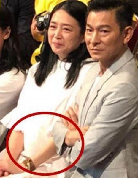 朱丽倩二胎最新动态，多方观点与深度解析揭秘朱丽倩二胎最新消息