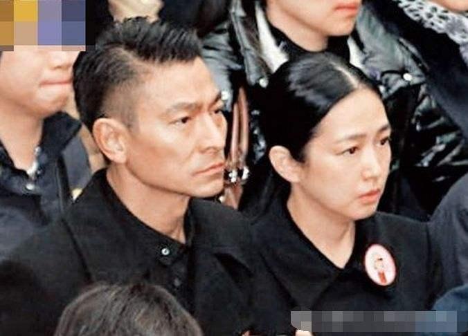 朱丽倩二胎最新动态,多方观点与深度解析揭秘朱丽倩二胎最新消息