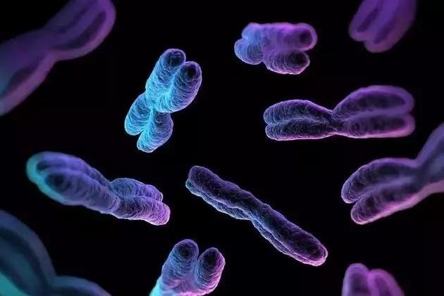 毛囊移植技术最新进展,重塑自信,从头开始重塑人生自信毛囊移植技术更新动态