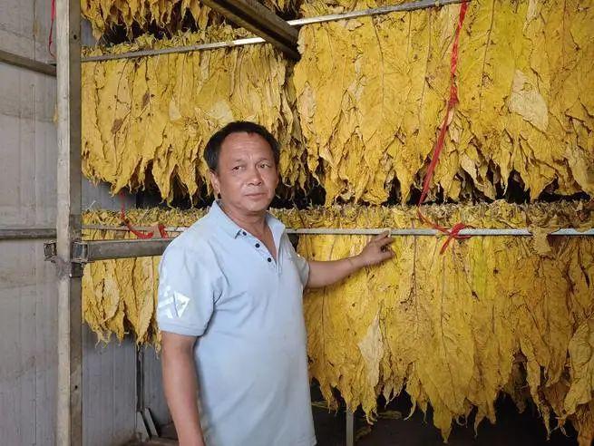 一吨煤价格的历史背景、重要事件与地位分析