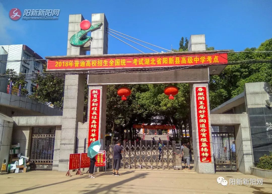 阳新县教育局最新通告,小巷深处的独特风味等你来探索的教育之旅!