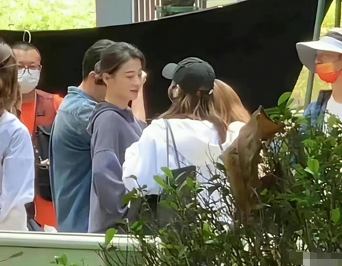 梅婷的最新动态与消息更新