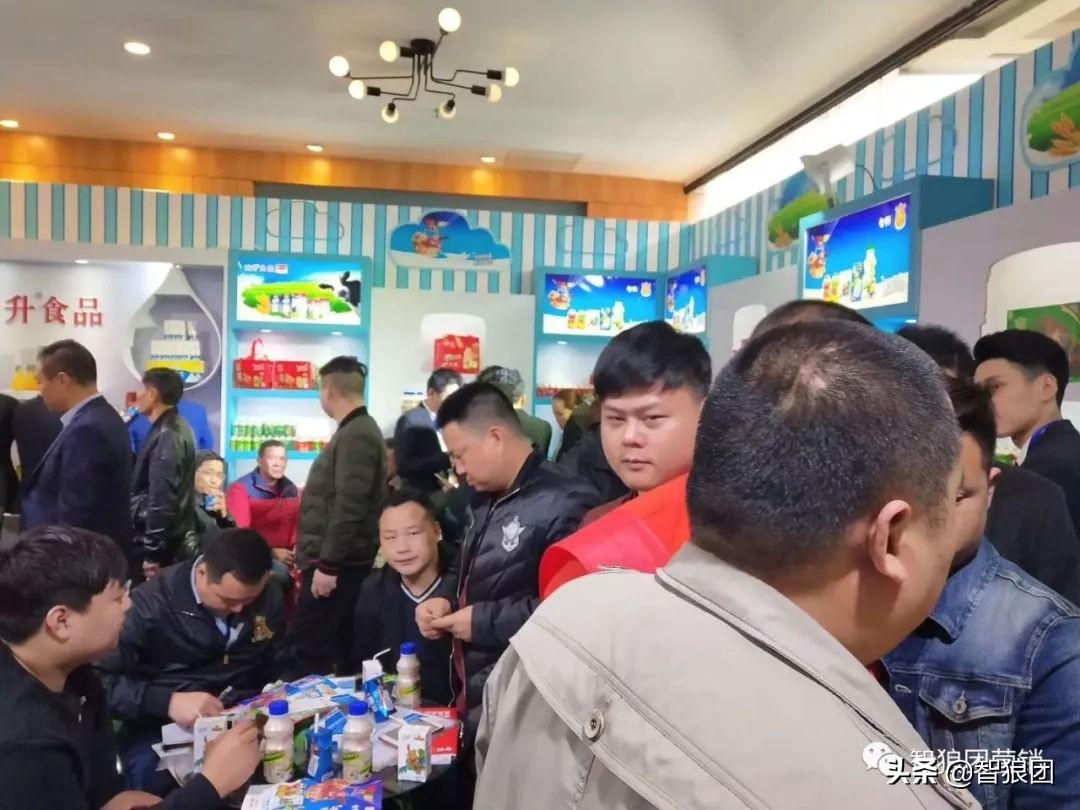 最新流量资讯揭秘,风暴中的日常点滴