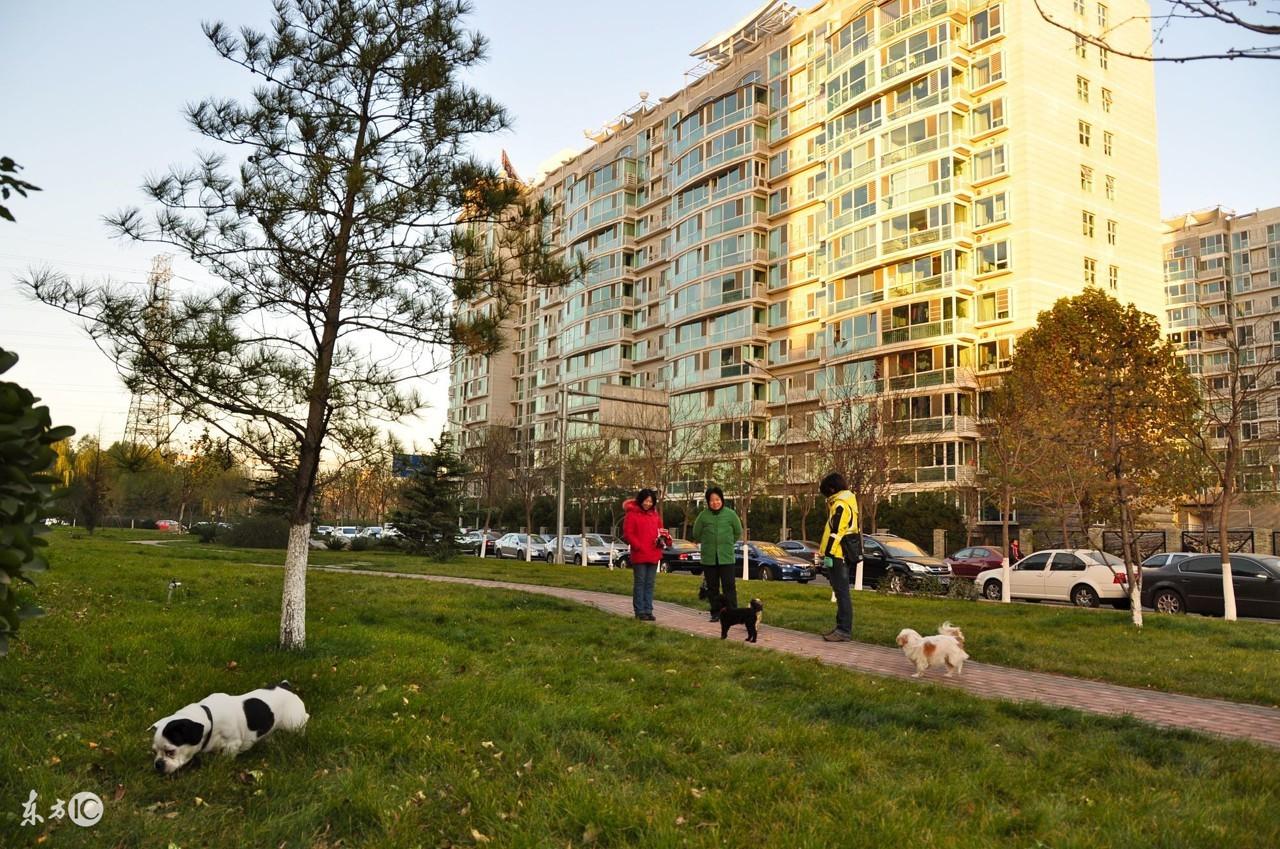 茌平最新招聘大揭秘，职业未来从这里起航！