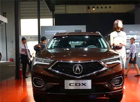 最新CDX资讯详解,获取与解读步骤指南