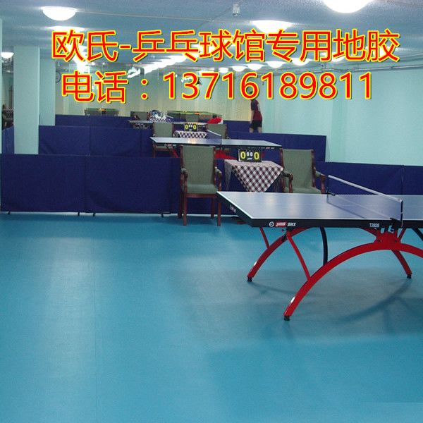 乒乓球胶皮价格表,科技革新乒乓体验,尽享非凡魅力