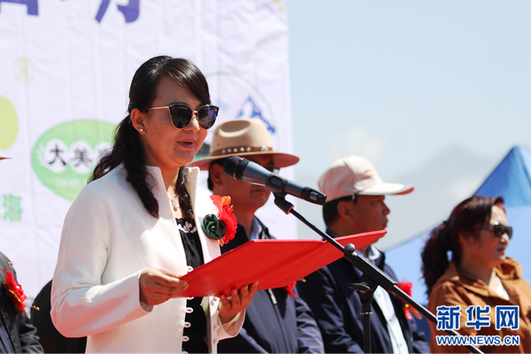 营口李玉清最新动态,多方观点分析与个人立场阐述揭秘