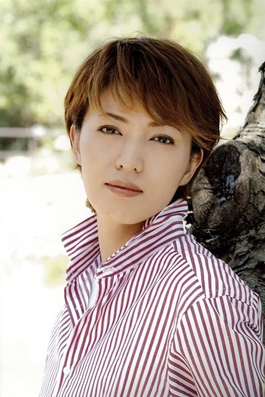 演员安慧,演艺之路的闪耀之星