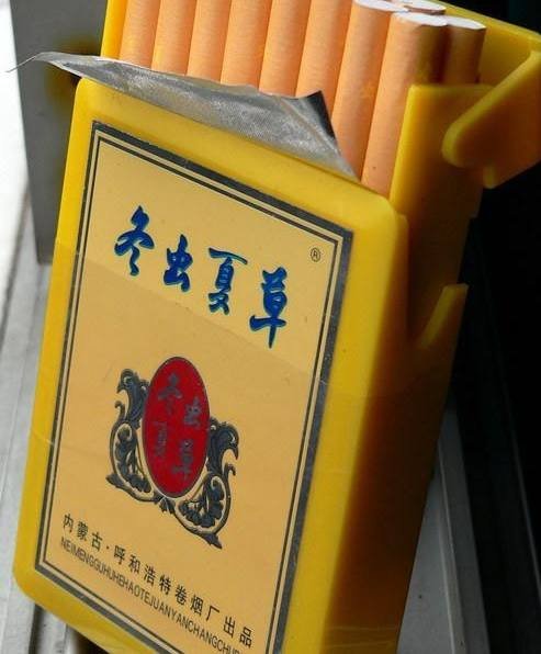 最新烟品资讯——烟友小明的日常趣事与情感世界探索