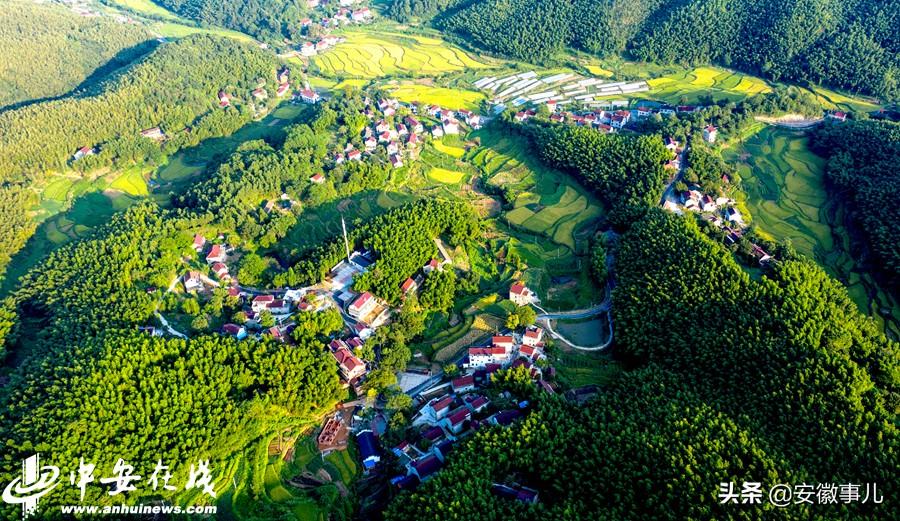 庐江小巷深处的独特风味，揭秘特色小店的新鲜资讯