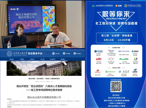 烟台开发区最新招聘信息,时代的脉搏引领就业航标