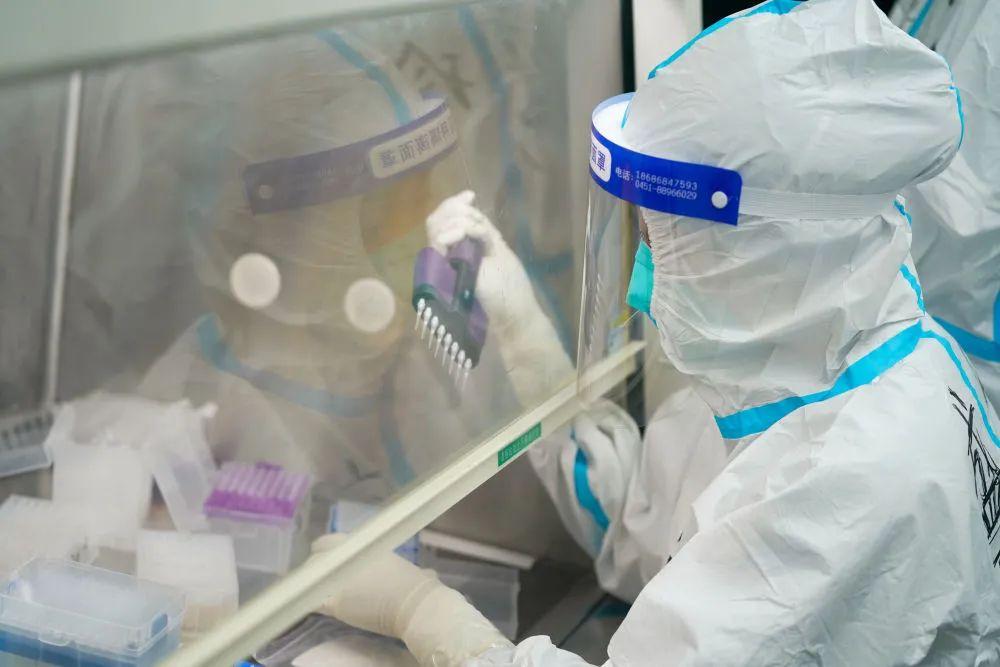 伊春最新病例，自然美景之旅寻求内心平和与宁静