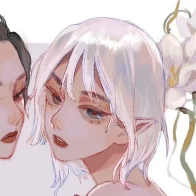 动漫闺蜜壁纸,科技美学新定义下的生活魅力体验