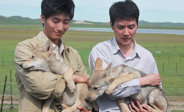 狼图腾演员表揭秘,小巷深处的特色小店探秘之旅