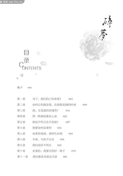 最新长篇小说章节目录，背景、事件、影响与地位全解析