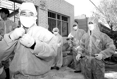 湖南禽流感最新动态,温情故事在行动