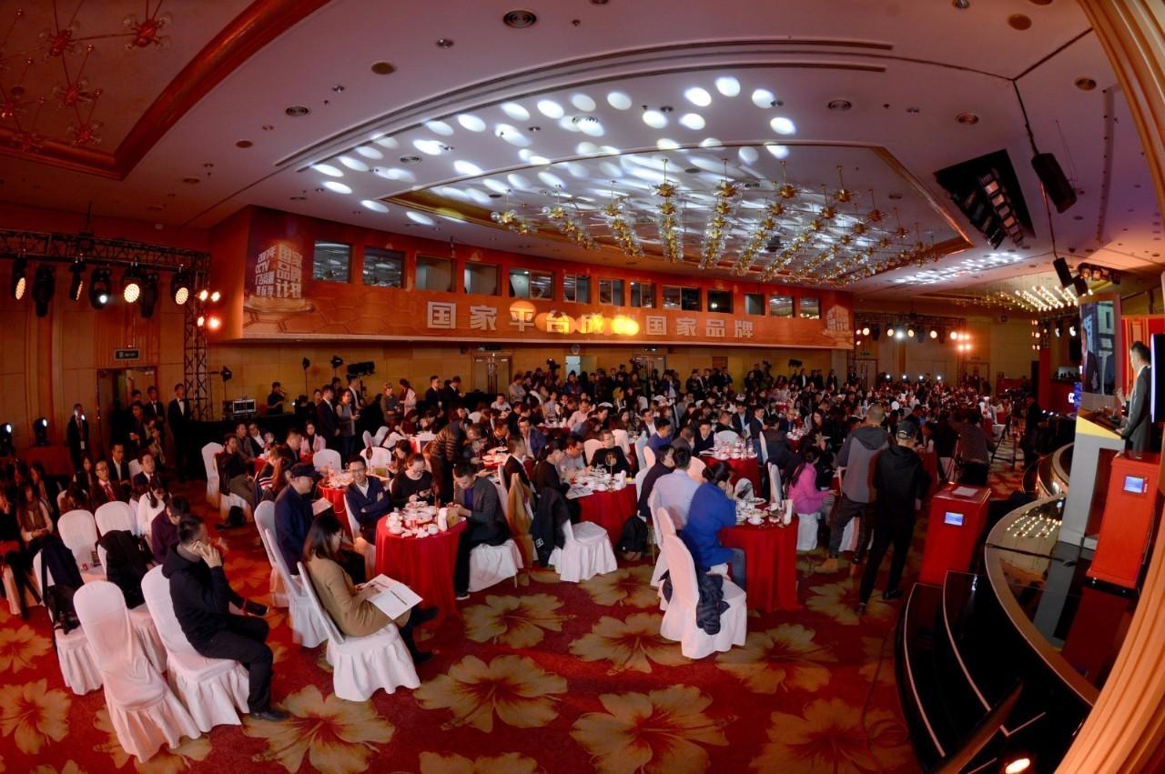 鲁花最新广告发布,品牌与消费者的深度互动盛宴