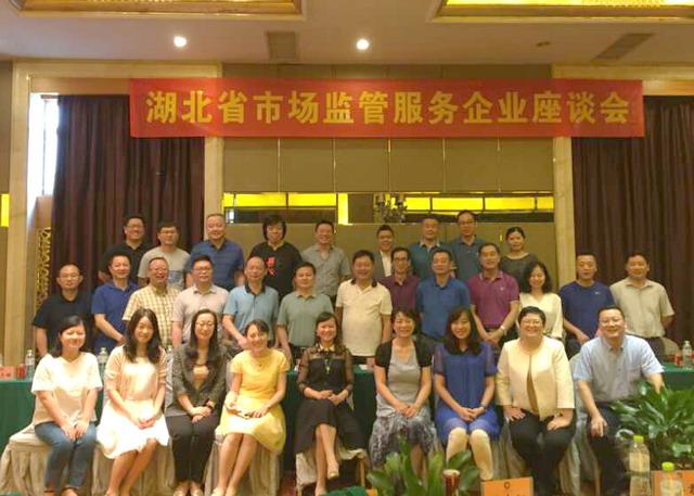 鲁花最新广告发布,品牌与消费者的深度互动盛宴