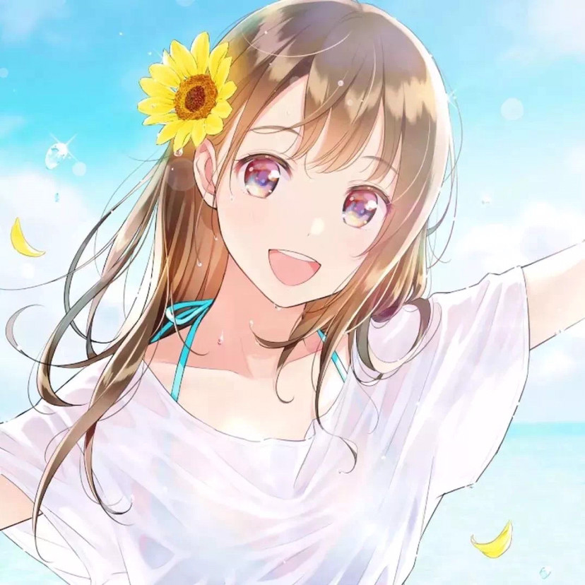 变女动漫,动漫世界里的性别转换魔法探索