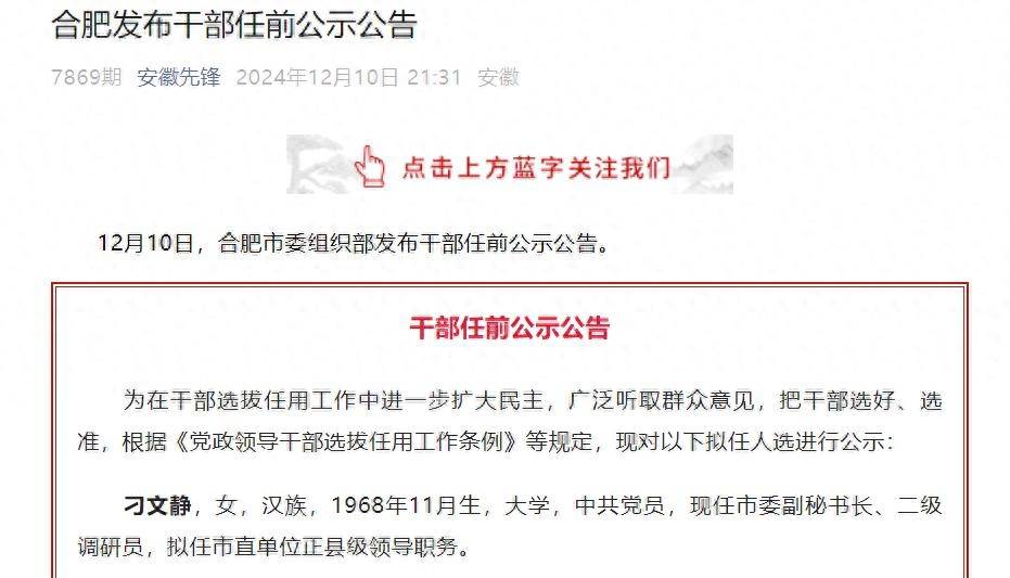 合肥市干部任免信息平台,科技智慧革新赋能干部管理