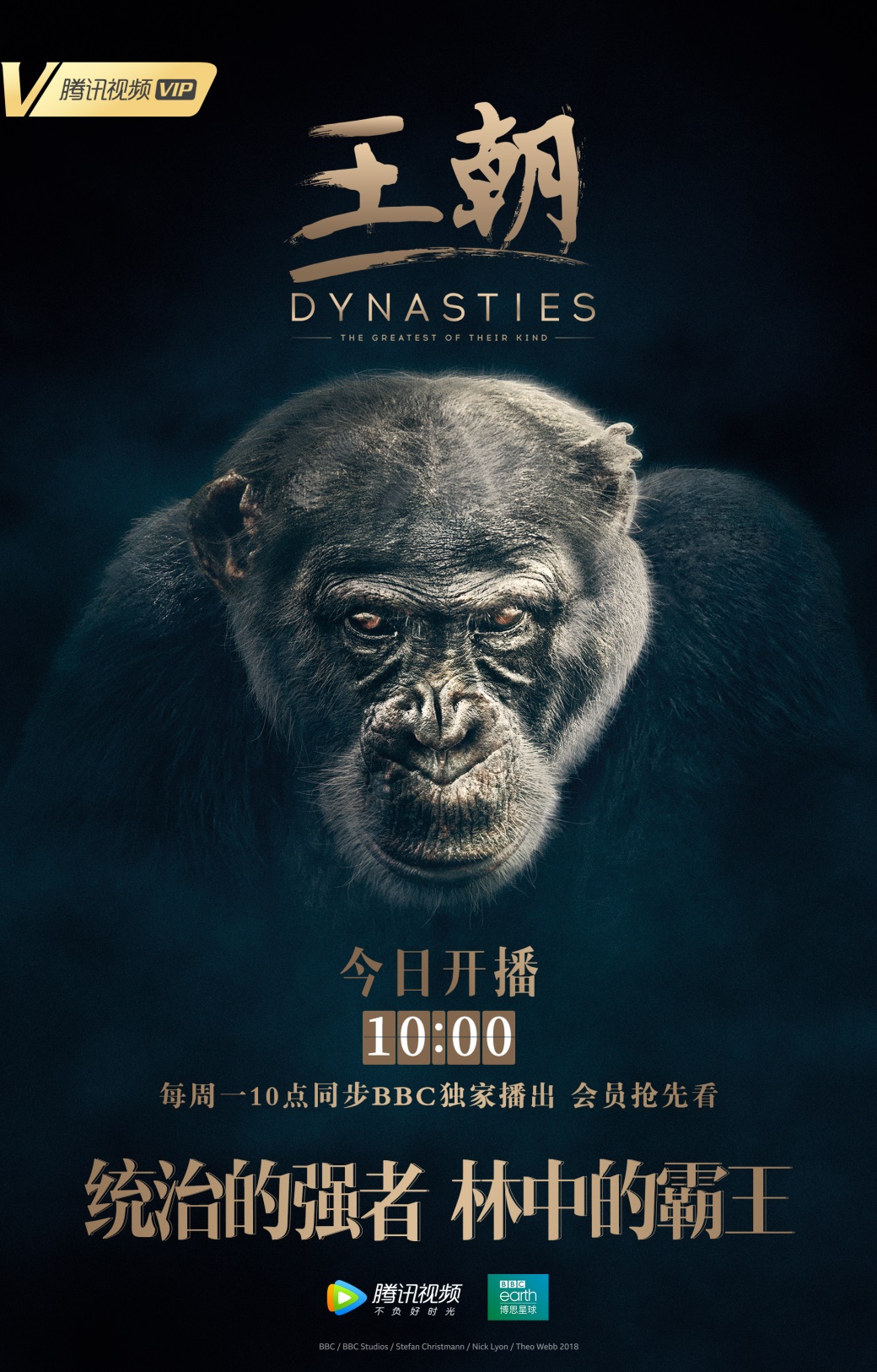 王朝电影，时代印记与影像传奇的交融之旅