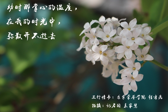 三行情书,亲情深深,温暖传递