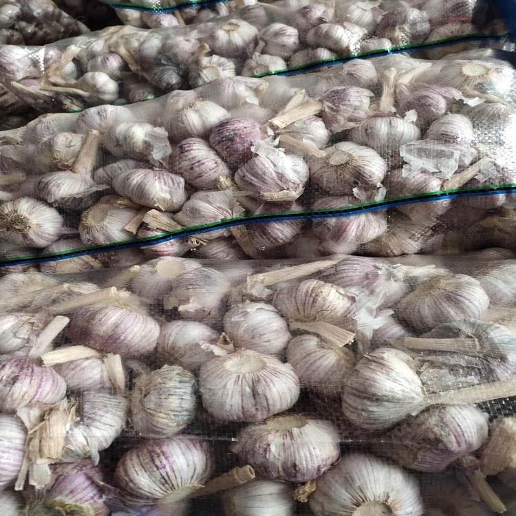 金乡冷库大蒜最新价格，与自然美景对话，探寻内心宁静之旅