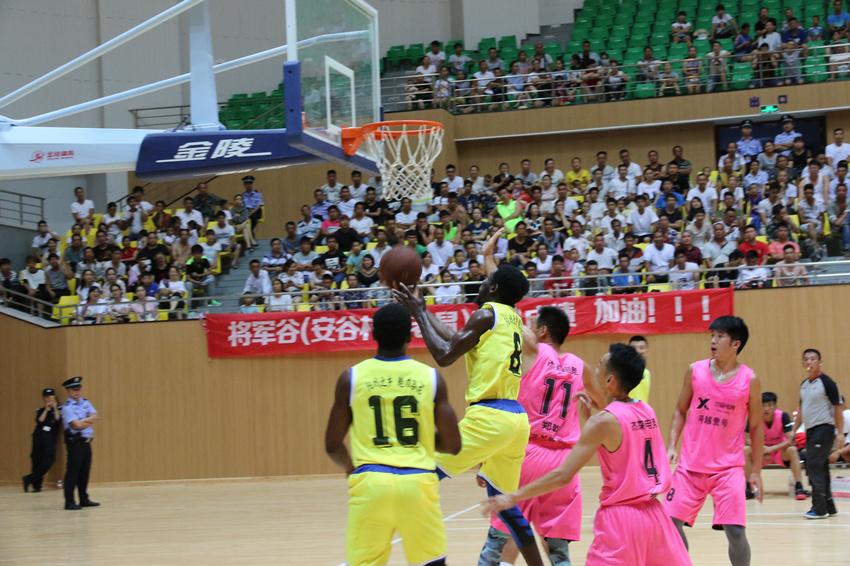 马场坪最新探索,自然美景的沉浸式体验之旅