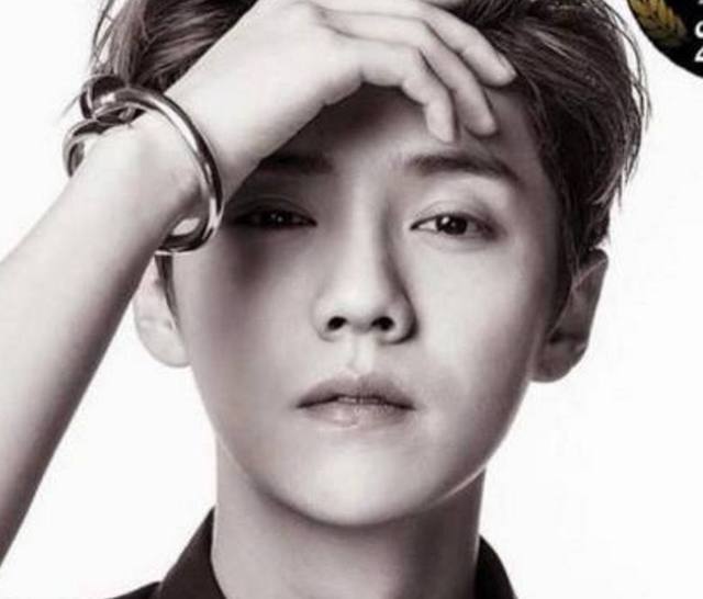 明星口号背后的故事,探寻小巷独特魅力的秘密之旅