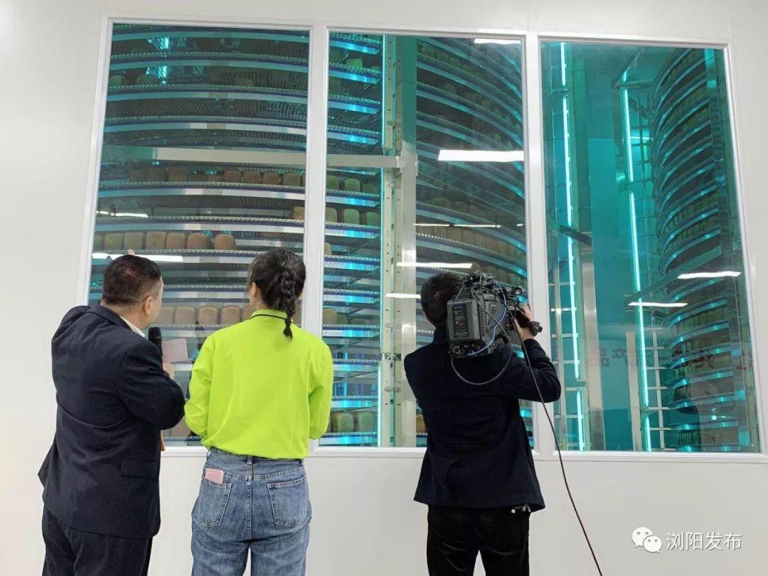 浏阳最新新闻速递,新鲜资讯一网打尽!