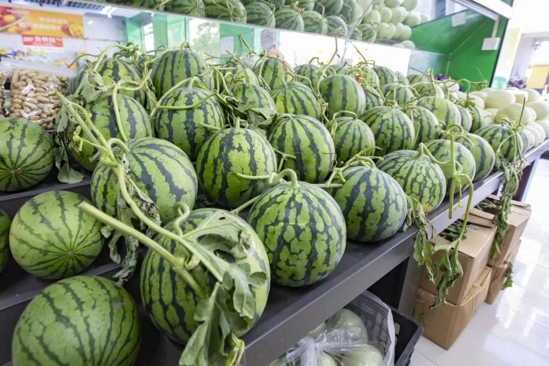 青州西瓜价格最新动态更新