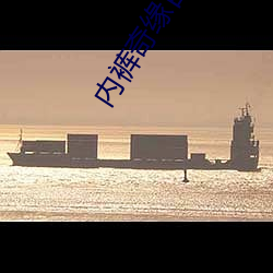 内裤奇缘新篇章开启,目录更新,准备好探索未知之旅了吗?