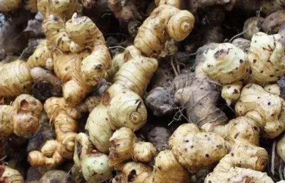 深度解析,当前市场趋势与未来前景展望——六大行业行情概览