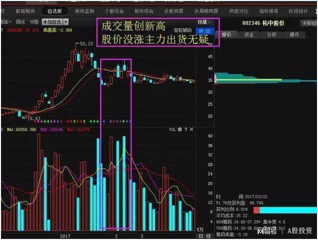 探索股票获利秘诀,小巷中的财富小店,开启未知财富宝藏之旅!
