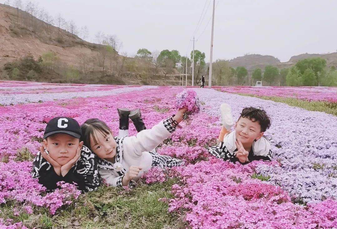 华亭最新疫情通报,科技赋能,共筑防线,体验前沿科技成果的力量