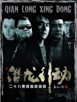 潜龙角色深度解析与演员表大揭秘,角色与演员魅力一览无余