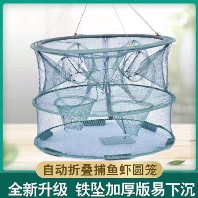 最新捕鱼地笼全自动,自我超越与奇妙学习之旅的启航